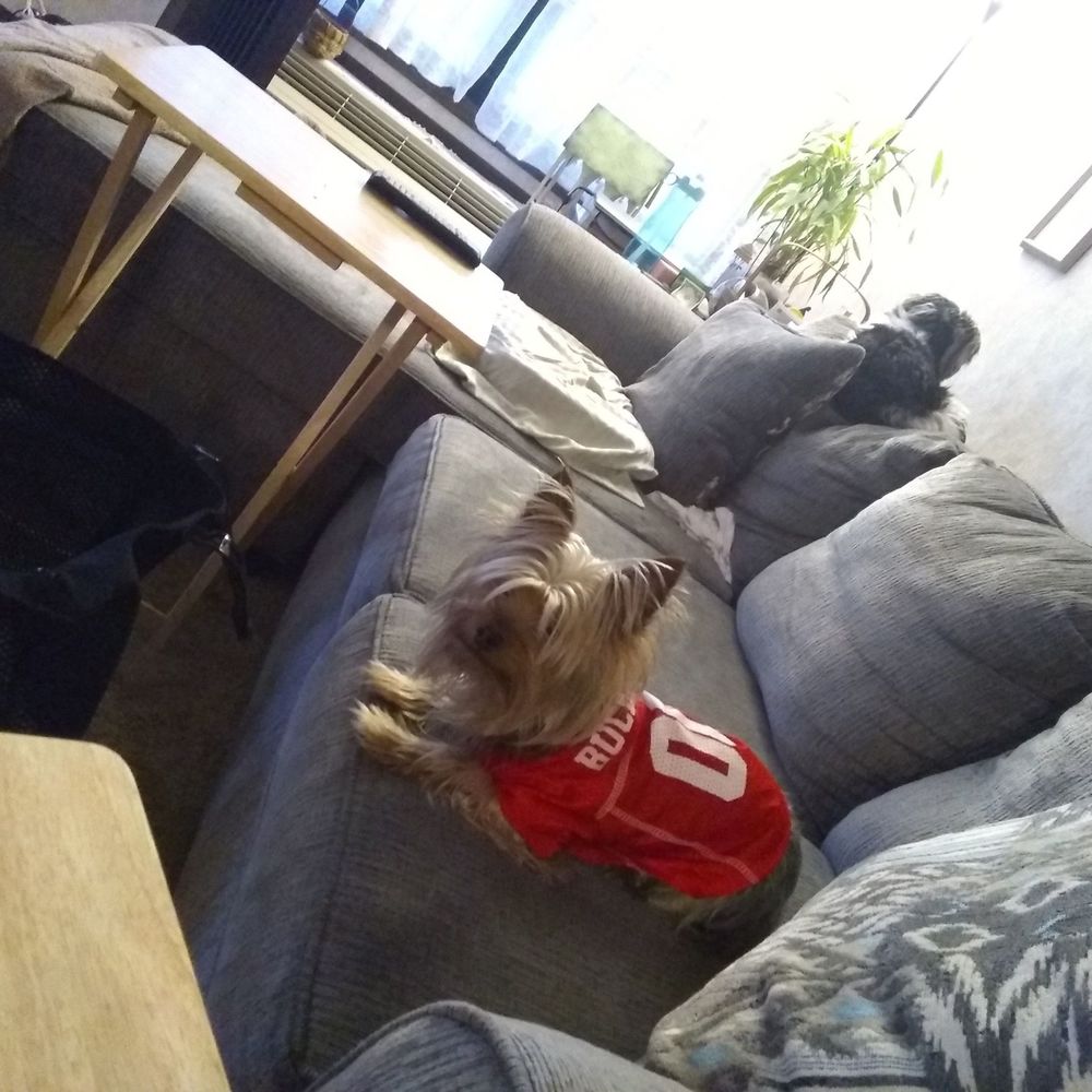 Meet your Posher, Tamrisa